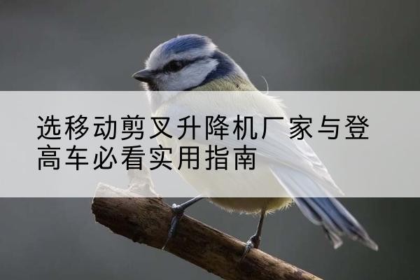 平昌电动升降机厂家-选移动剪叉升降机厂家与登高车必看实用指南