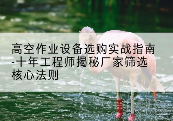平昌剪叉式升降机厂家-高空作业设备选购实战指南-十年工程师揭秘厂家筛选核心法则